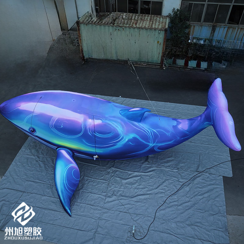 Inflatable blue whale, used as - đánh giá và giá Marine Aquarium Used