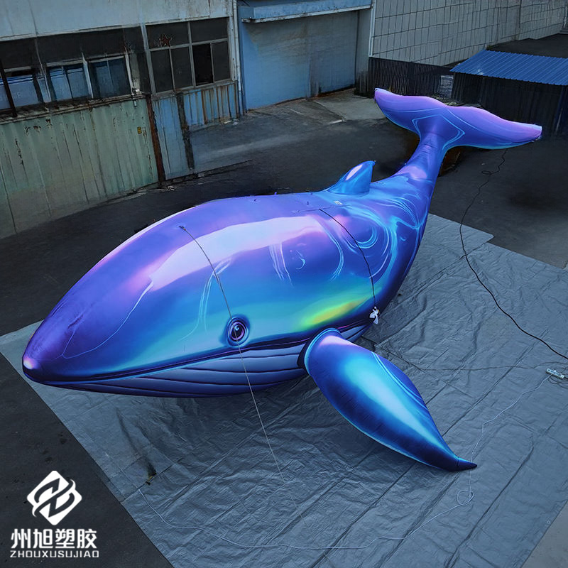 Inflatable blue whale, used as - đánh giá và giá Marine Aquarium Used