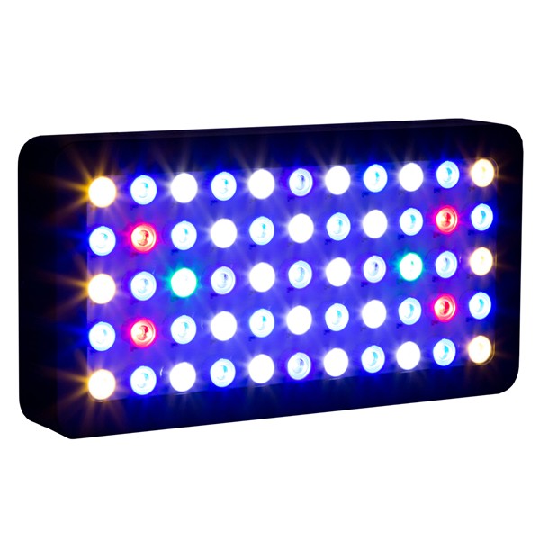 LED for Aquarium Programmable  - đánh giá và giá Marine Aquarium Used