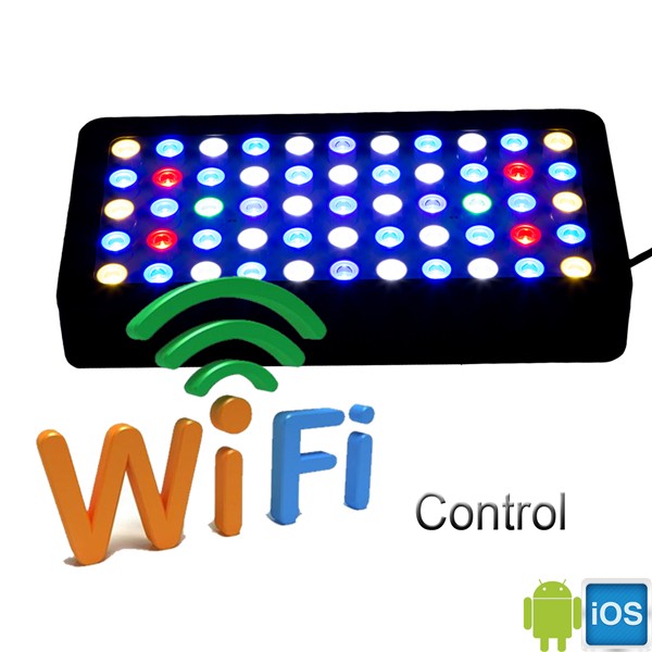 LED for Aquarium Programmable  - đánh giá và giá Marine Aquarium Used