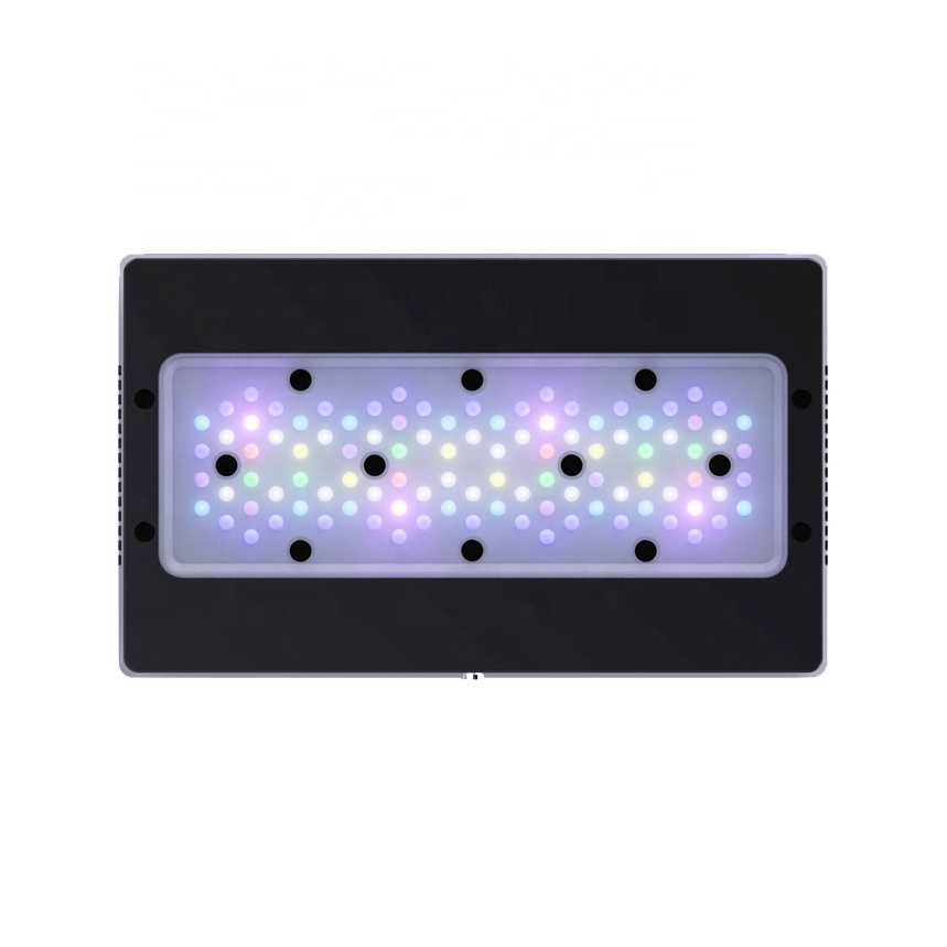 215W WiFi Programable Sunset S - đánh giá và giá Marine Aquarium Used