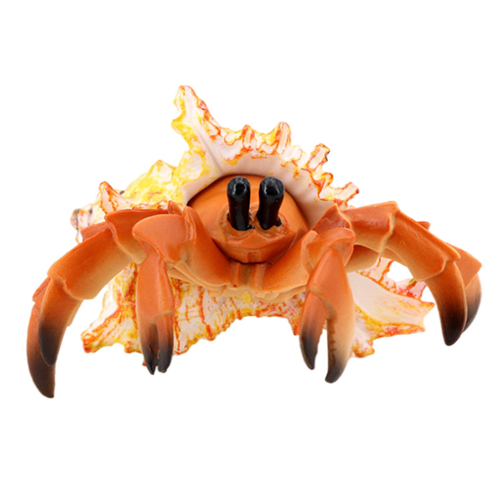 Simulation Hermit Crab Artific - đánh giá và giá Marine Aquarium Europe