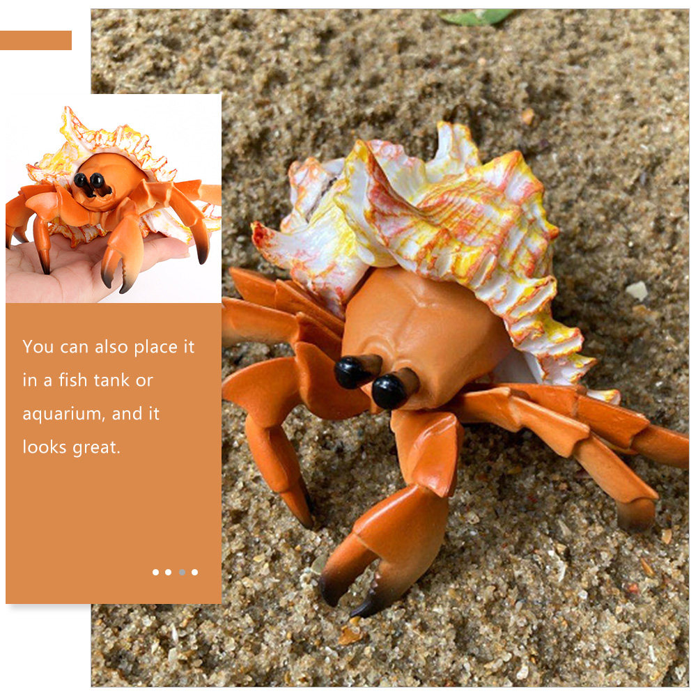 Simulation Hermit Crab Artific - đánh giá và giá Marine Aquarium Europe