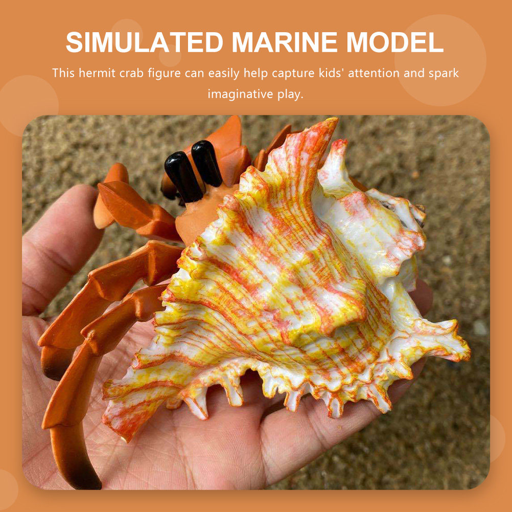 Simulation Hermit Crab Artific - đánh giá và giá Marine Aquarium Europe