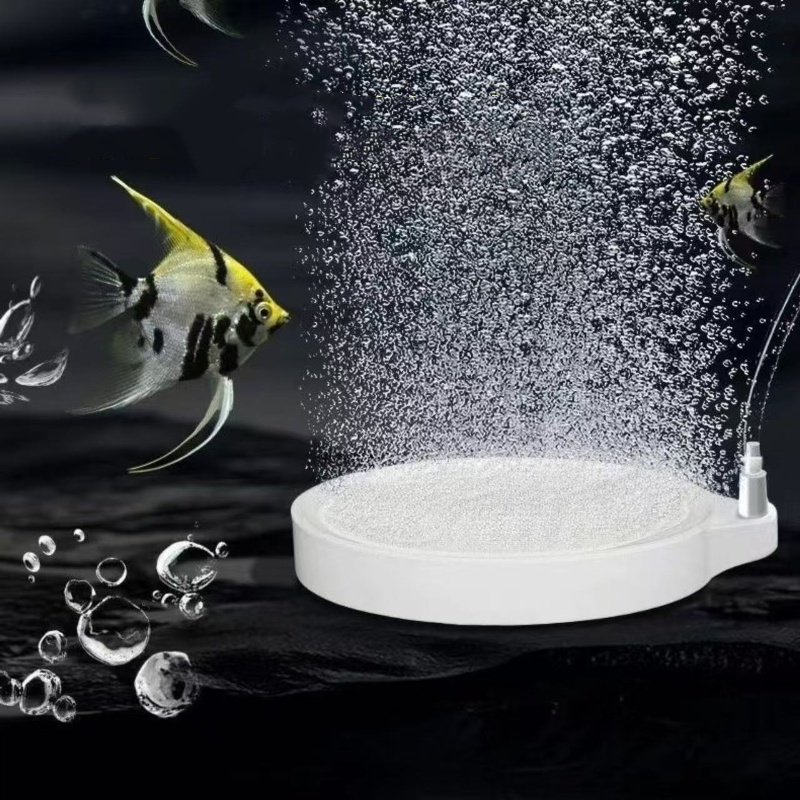 Nano Disc Air Stone Oxygen Aer - đánh giá và giá Marine Aquarium Nano
